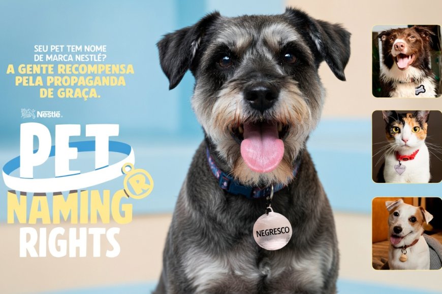 Pet naming rights da Nestlé: seu pet tem nome de marca?