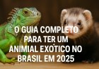 Animais exóticos legalizados em 2025: guia completo para tutores responsáveis
