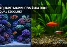 Aquário Marinho vs Água Doce: Qual Escolher?