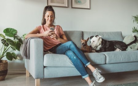 Como Escolher a Creche Perfeita para o Seu Pet