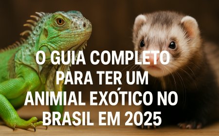Animais exóticos legalizados em 2025: guia completo para tutores responsáveis