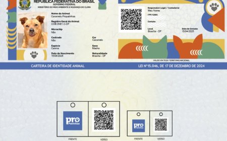 🐾 Programa SIN PATINHAS: O Guia Completo para o RG Gratuito do seu Cão e Gato
