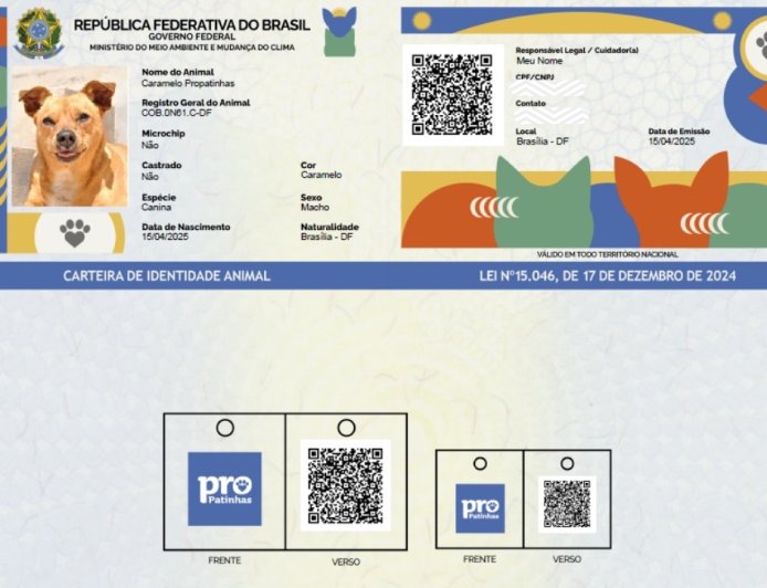 🐾 Programa SIN PATINHAS: O Guia Completo para o RG Gratuito do seu Cão e Gato