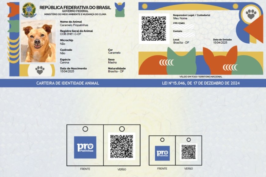 🐾 Programa SIN PATINHAS: O Guia Completo para o RG Gratuito do seu Cão e Gato