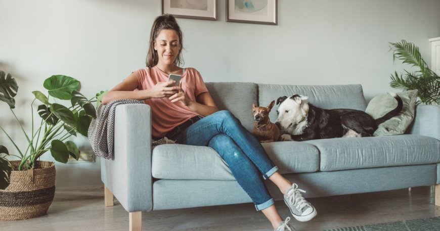 Como Escolher a Creche Perfeita para o Seu Pet