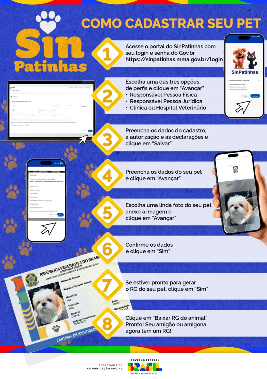 🐾 Programa SIN PATINHAS: O Guia Completo para o RG Gratuito do seu Cão e Gato