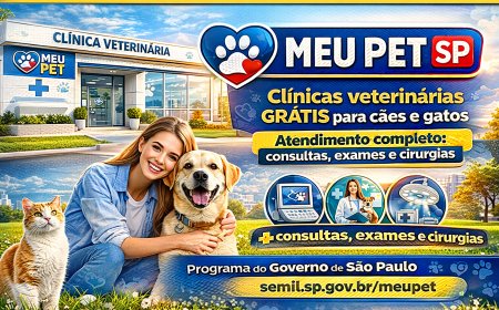 Programa Meu Pet: Como Conseguir Atendimento Gratuito para seu Pet