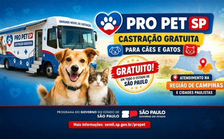 Programa Pro Pet: Guia Completo Sobre Castração Gratuita, Benefícios e Como Participar