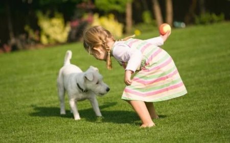 Cachorro Ideal para Família com Crianças: Como Escolher o Companheiro Perfeito