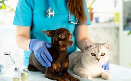 Calendário de Vacinação Pet: Guia Completo para Cães e Gatos