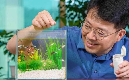 Alimentação e saúde de peixes: Guia completo