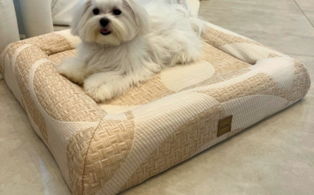 Camas ortopédicas para cachorro