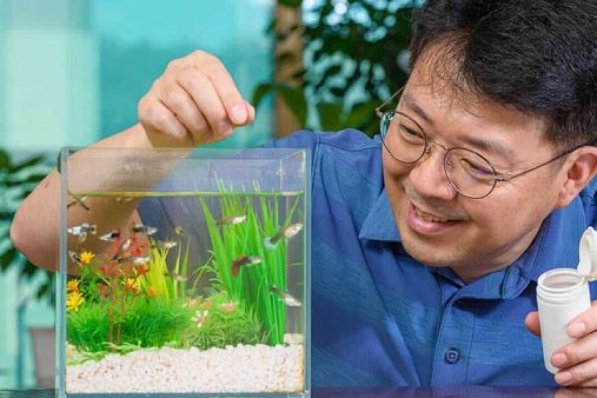 Alimentação e saúde de peixes: Guia completo