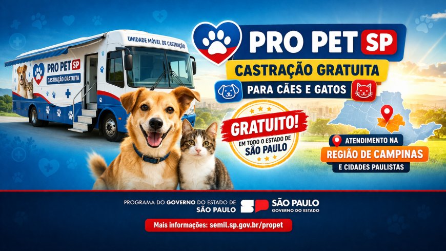 Programa Pro Pet: Guia Completo Sobre Castração Gratuita, Benefícios e Como Participar
