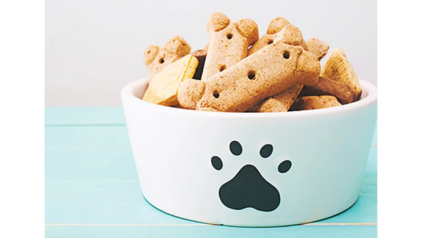 Como Escolher um Bom Petisco para Cães: Guia Completo