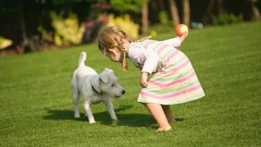 Cachorro Ideal para Família com Crianças: Como Escolher o Companheiro Perfeito
