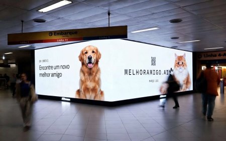 Adoção responsável de cães: como a IA pode ajudar (e seus limites)