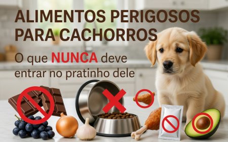 Alimentos Perigosos para Cachorros: O Que Evitar