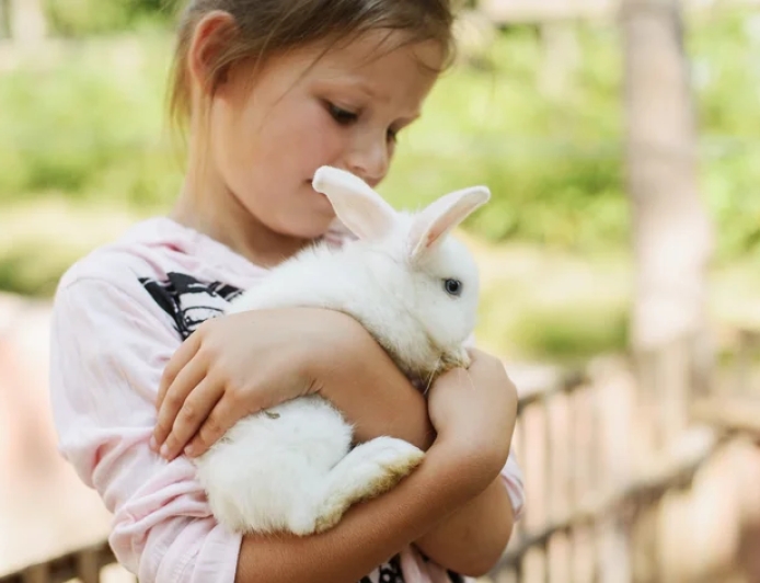 Erros comuns ao cuidar de coelhos e roedores em casa