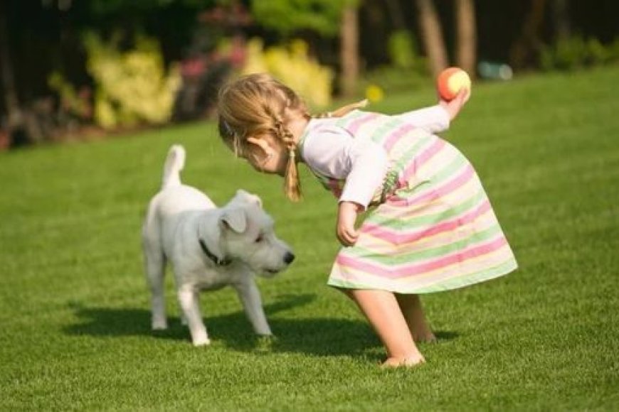 Cachorro Ideal para Família com Crianças: Como Escolher o Companheiro Perfeito